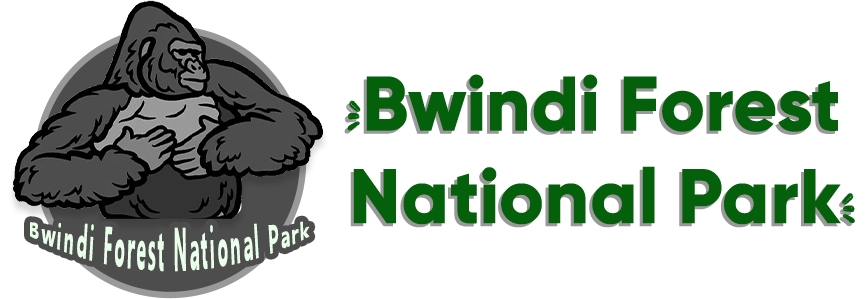 Bwindi Impenetrable National Park